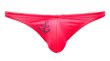 Photo3: High Cut Speedos "Pink" (3)