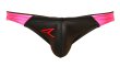 Photo3: Big Logo Bikinis "Black" (3)