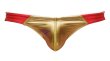 Photo3: Bulge Swim × SURF "Gold" (3)