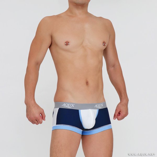 Photo1: Regular Boxer "Navy" (1)