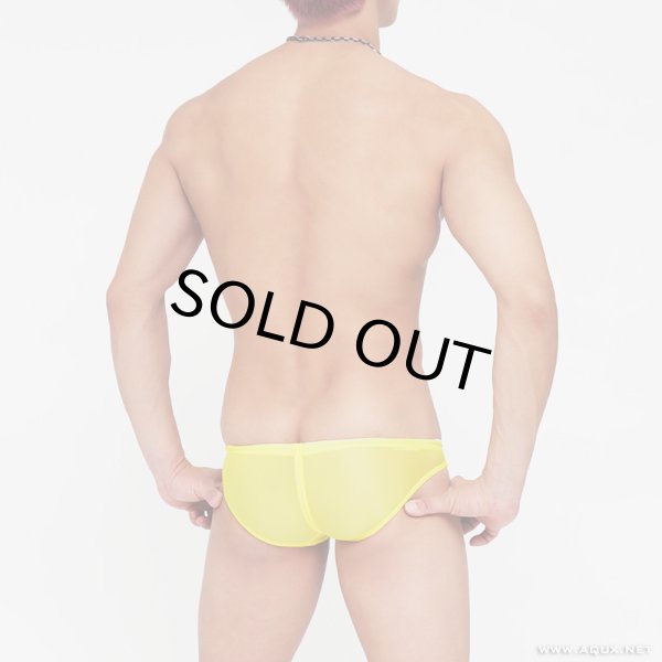 Photo2: Shallow Bikinis II "Sheer Yellow" (2)